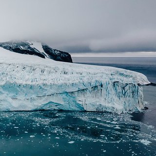Шельфовые ледники